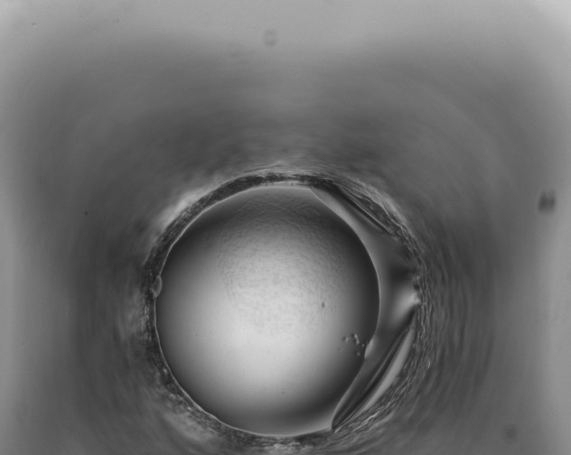 X0000090781160200707271543