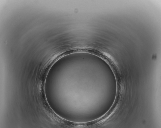 X0000090781161200707271543