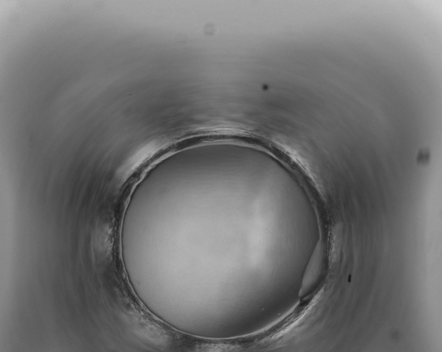 X0000090781163200707271543