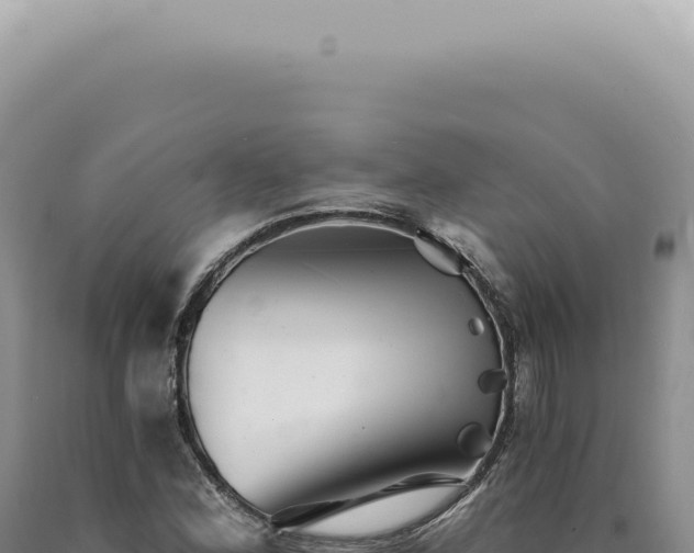 X0000090781164200707271543