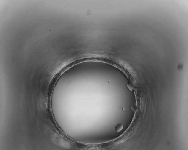X0000090781165200707271542
