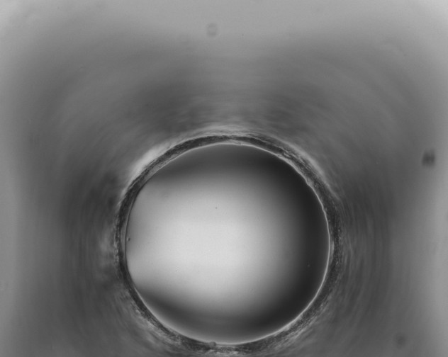 X0000090781168200707271542