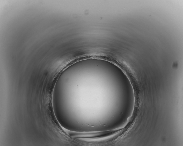 X0000090781169200707271542