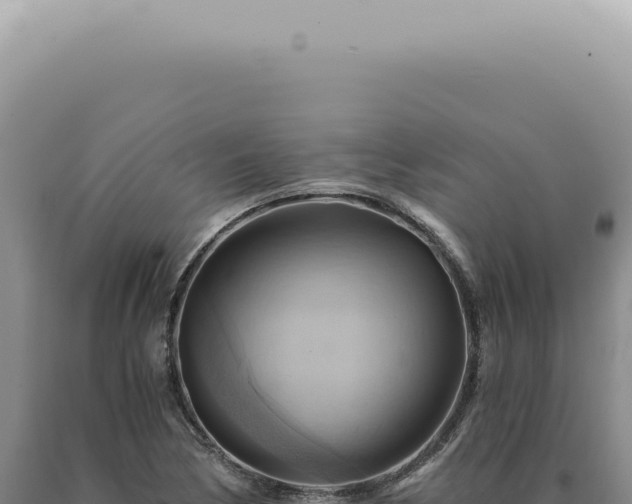 X0000090781170200707271542