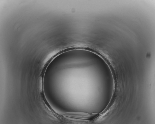 X0000090781171200707271542