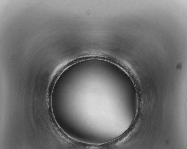 X0000090781172200707271542