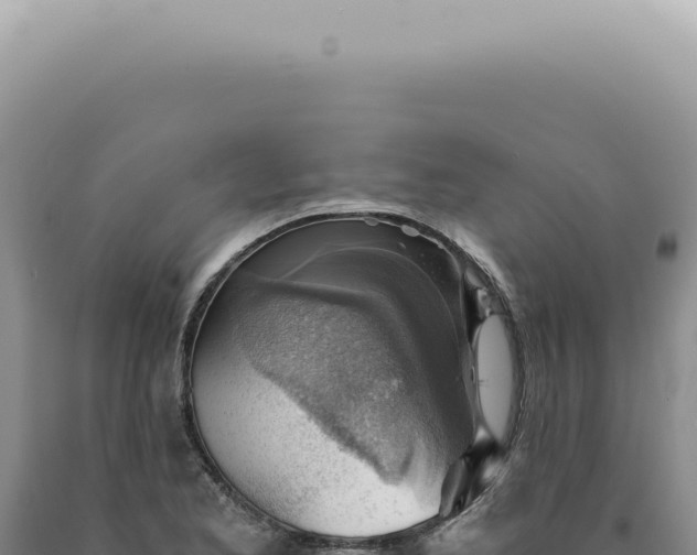 X0000090781173200707271542
