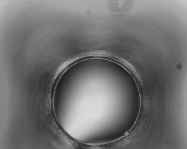 X0000090781176200707271542