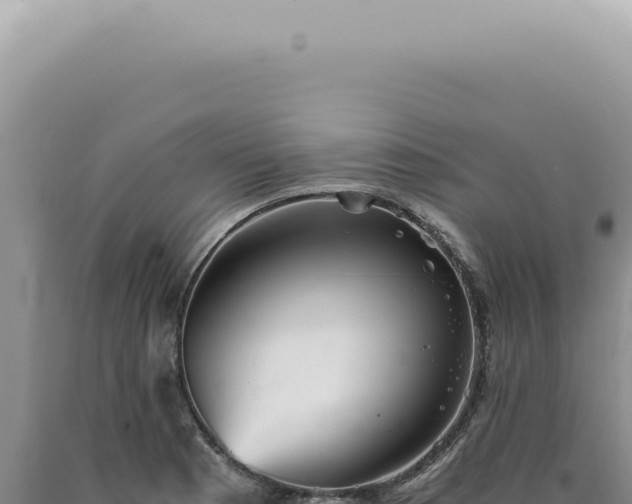 X0000090781177200707271542