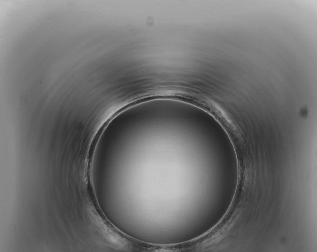 X0000090781178200707271542