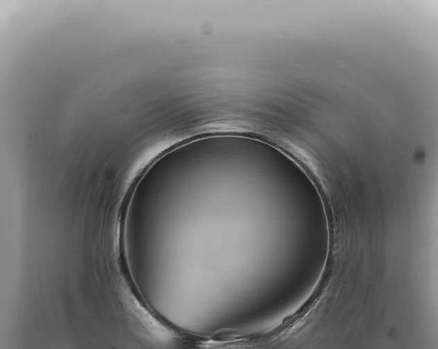 X0000090781179200707271542