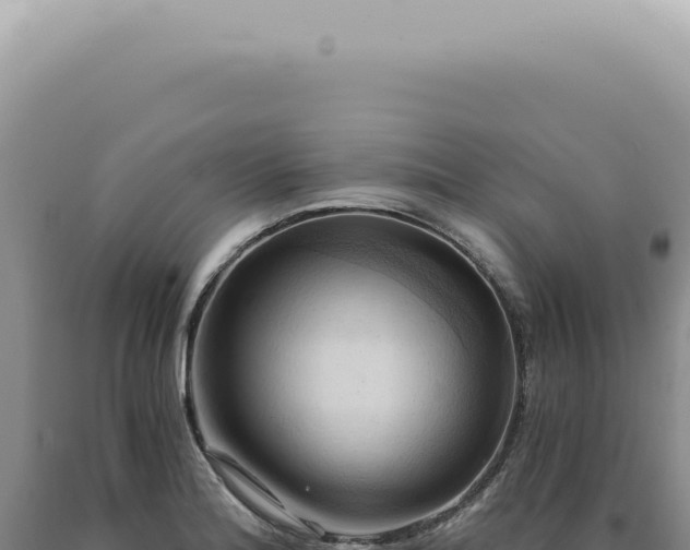X0000090781180200707271542