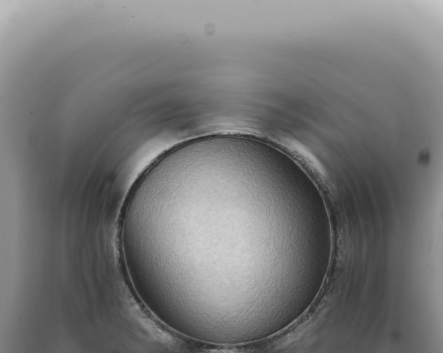 X0000090781182200707271542