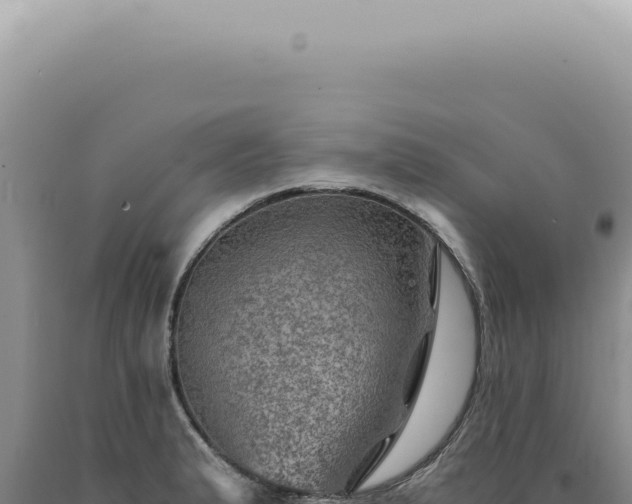 X0000090781183200707271542