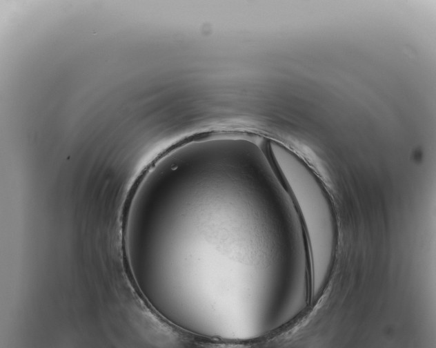 X0000090781184200707271542
