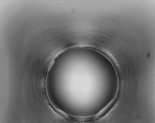 X0000090781185200707271542