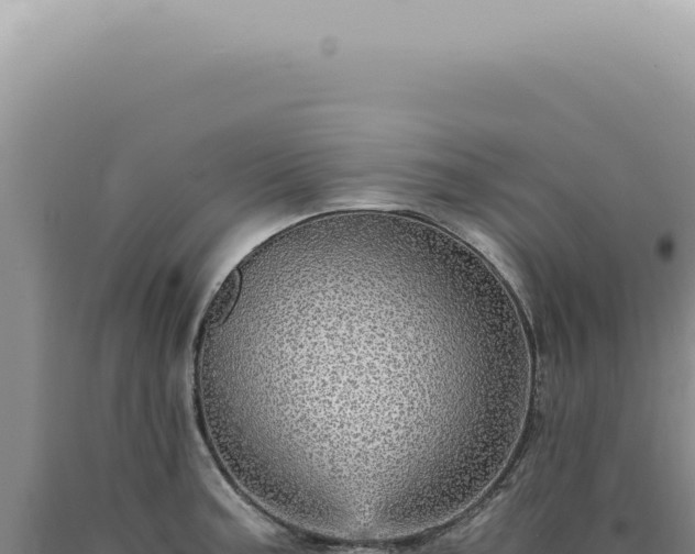 X0000090781187200707271542