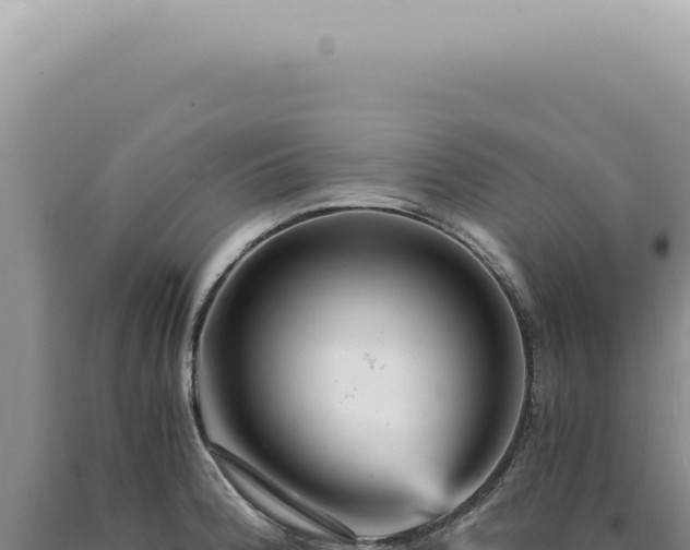 X0000090781188200707271542