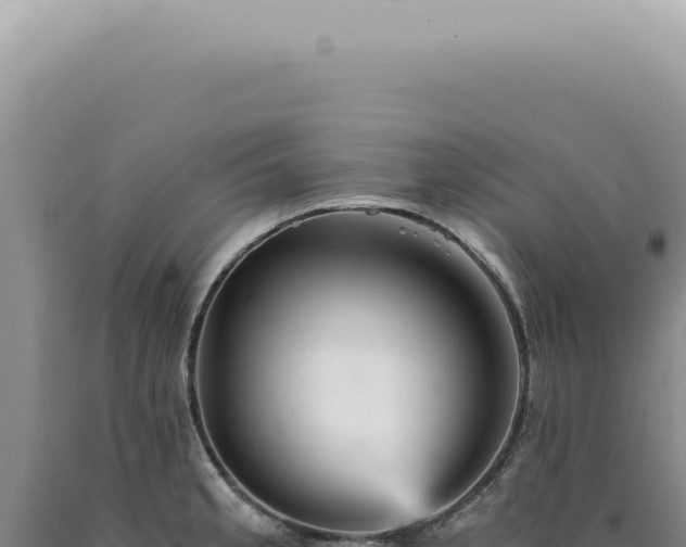 X0000090781189200707271542