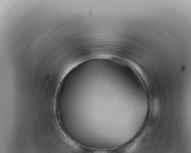 X0000090781194200707271542