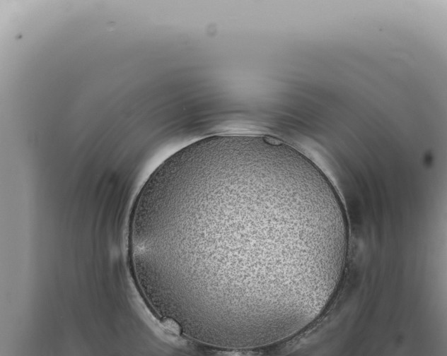 X0000090781195200707271542