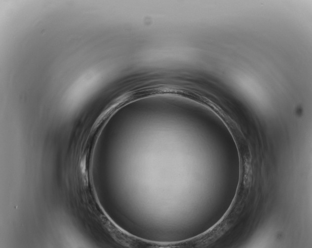 X0000090781198200707271542