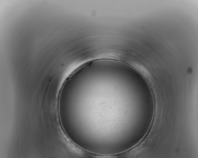 X0000090781200200707271542
