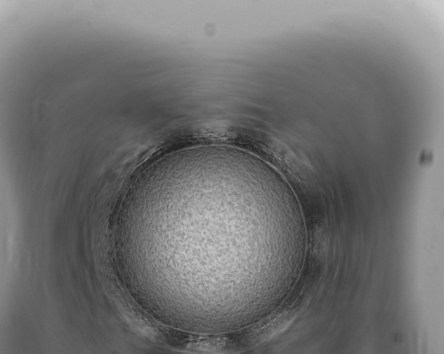 X0000090781201200707271541