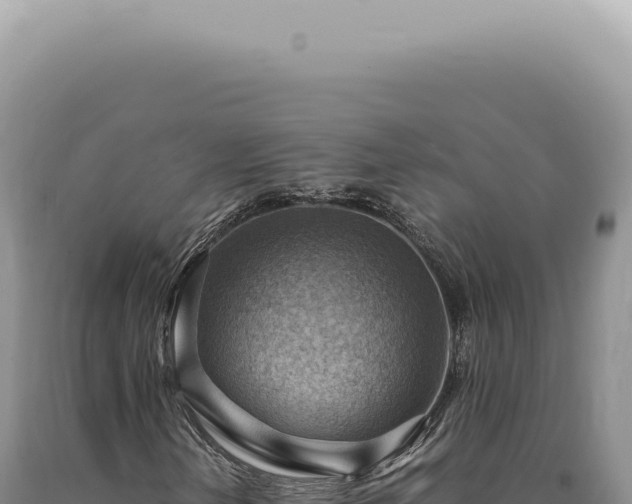 X0000090781202200707271541