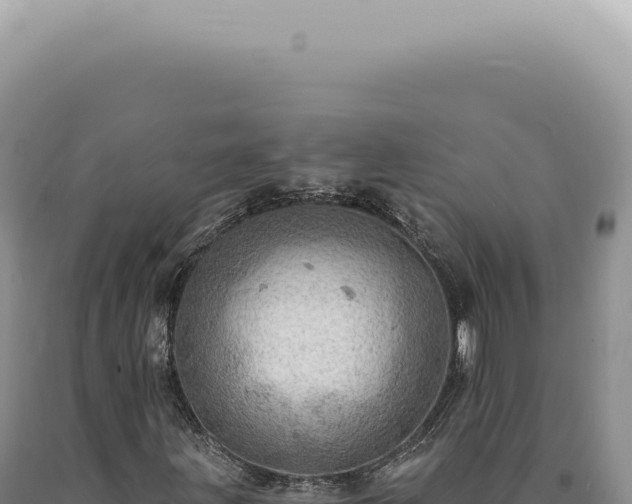 X0000090781203200707271541
