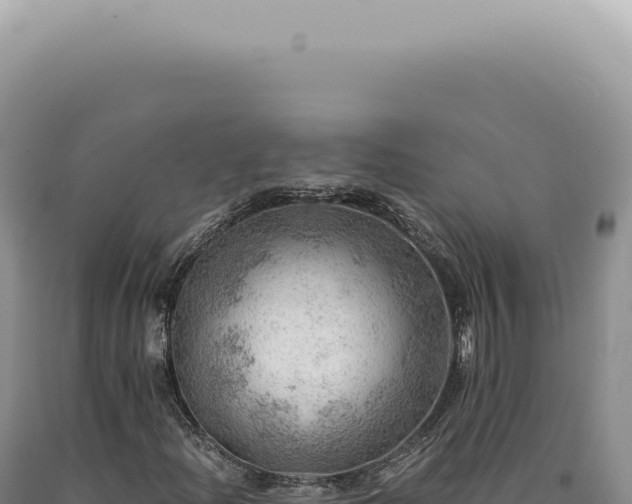 X0000090781204200707271541