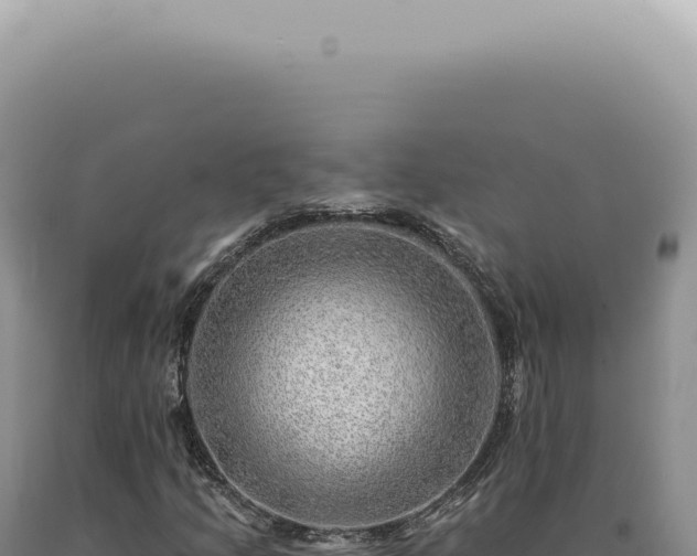 X0000090781205200707271541