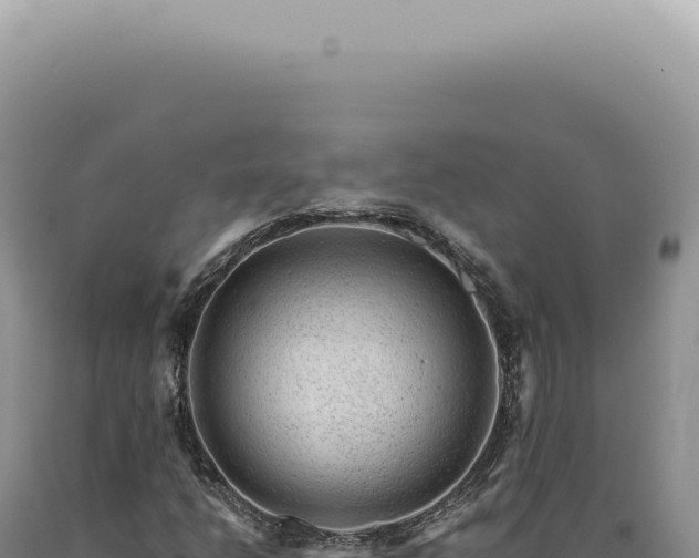 X0000090781206200707271541