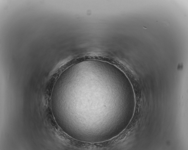 X0000090781207200707271541