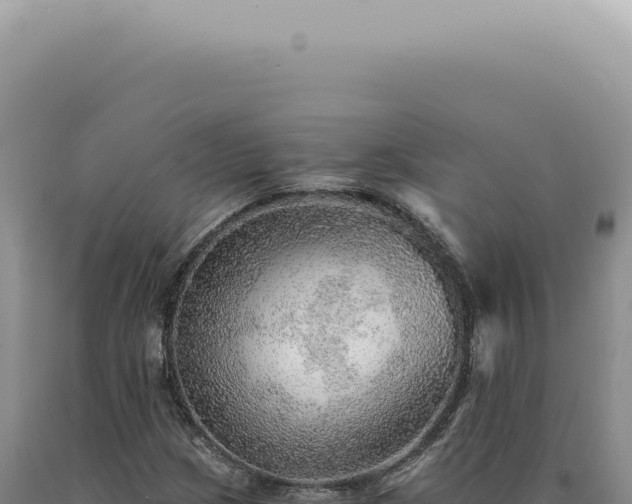 X0000090781209200707271541