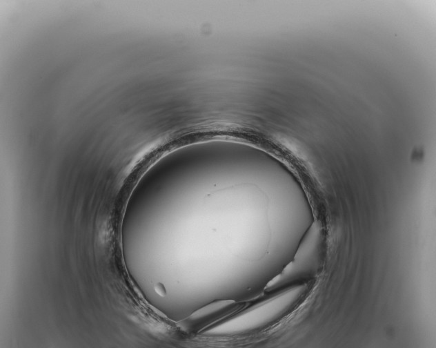 X0000090781210200707271541