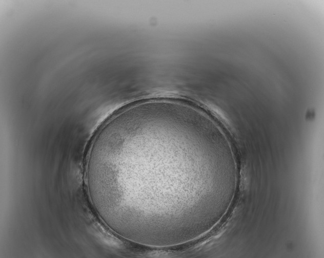 X0000090781212200707271541