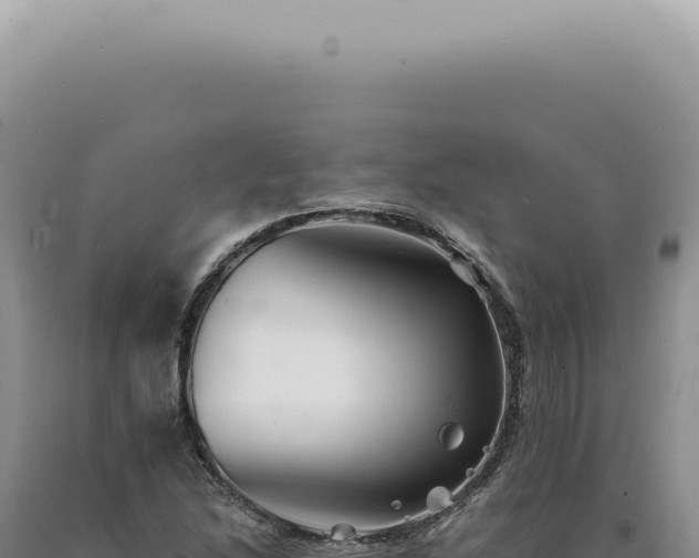 X0000090781214200707271541