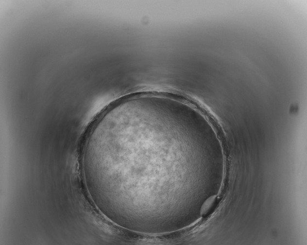 X0000090781215200707271541