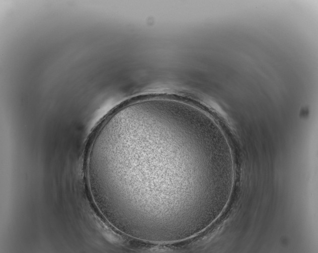 X0000090781216200707271541