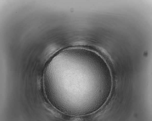 X0000090781217200707271541