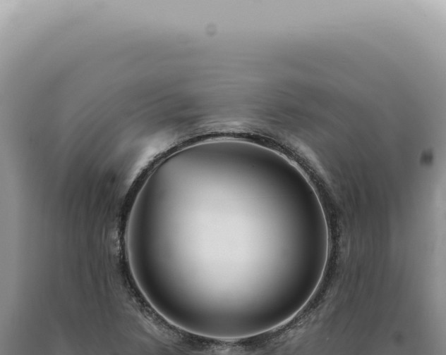 X0000090781218200707271542