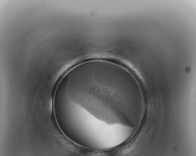 X0000090781221200707271542