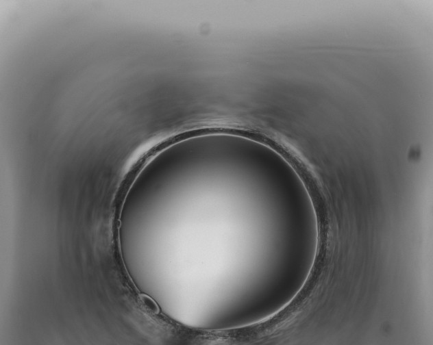 X0000090781222200707271542