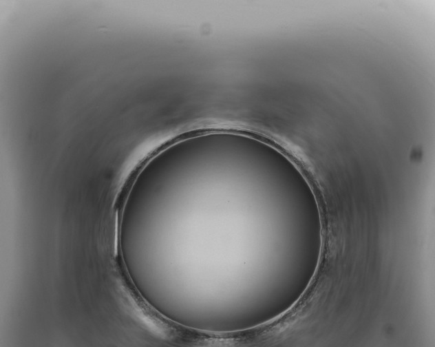 X0000090781223200707271542
