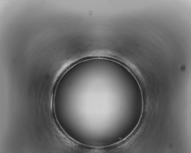 X0000090781224200707271542