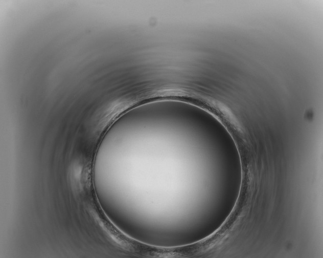 X0000090781225200707271542