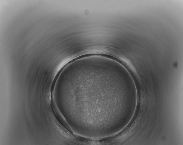 X0000090781226200707271542