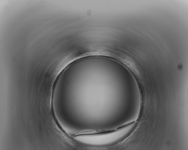 X0000090781228200707271542