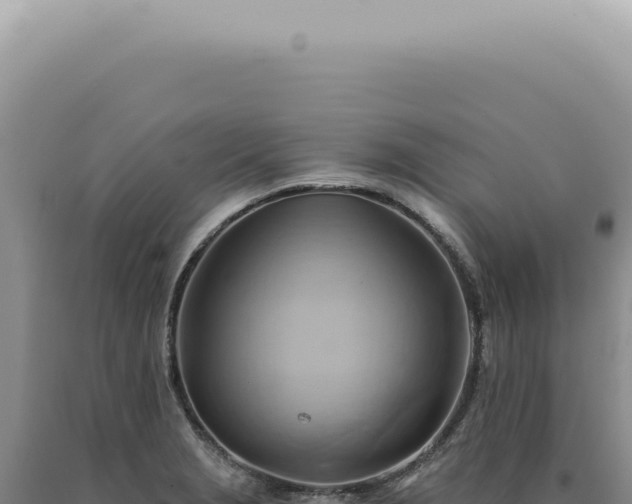 X0000090781229200707271542